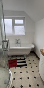 Nene Parade, March - Photo 4