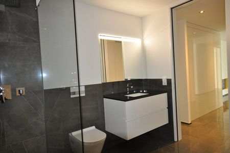 Exklusive, lichtdurchflutete Wohnung mit luxuriösem Innenausbau und hochwertigen Materialien - Foto 3