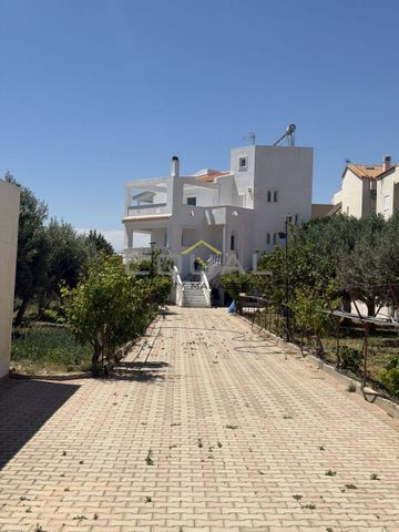 Μεζονέτα για ενοικίαση Καλύβια Θορικού - Photo 3