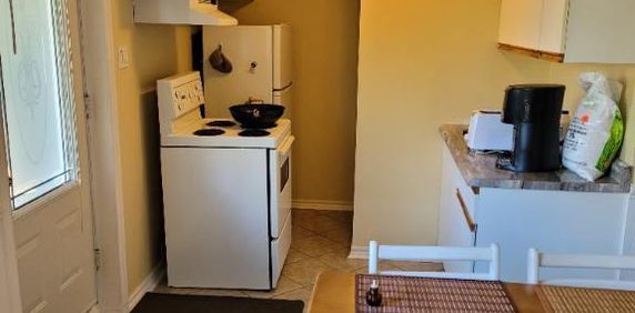 À SAINT-AGATHE-DES-MONTS ,PRÈS DE TOUT LES SERVICES, BORD DE L'EAU RÉSIDENTIEL, BACHELEUR 2½ À LOUER TOUT COMPRIS LIBRE 1 DÉCEMBRE 2025 - Photo 2