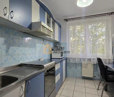 De inchiriat apartament 3 camere Transilvaniei - Fotografie 4