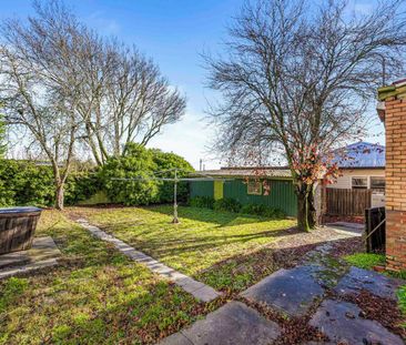 EXCELLENT HOME IN GREAT LOCATION WITH LARGE YARD - Photo 6