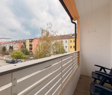 K PRONÁJMU - studentské bydlení ve zrekonstruovaném bytě 4+1, hned ... - Photo 5
