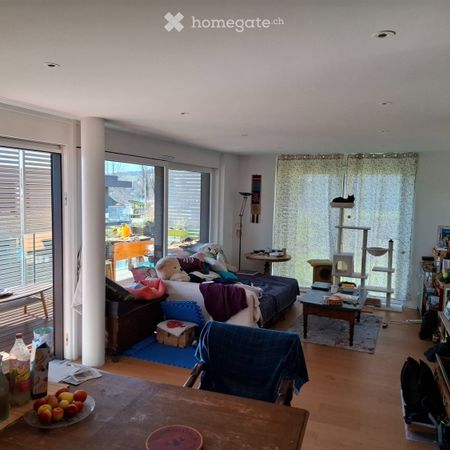 3.5 Zimmer, 80 m² - Photo 4