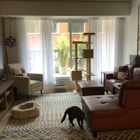 Superbe condo 4 1/2 - Photo 1