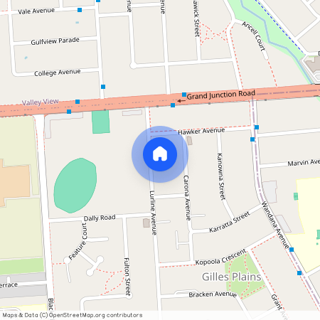 78 Lurline Avenue, Gilles Plains