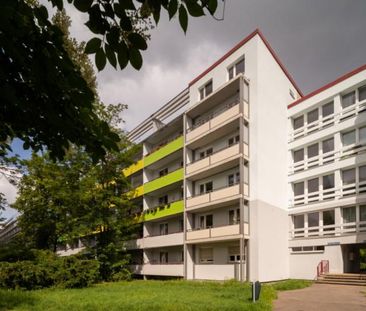 Tolle 3 Zimmer-Wohnung im Erdgeschoss in Halle - Photo 4