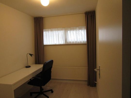 Te huur: Kamer Louise de Colignystraat in Eindhoven - Photo 1