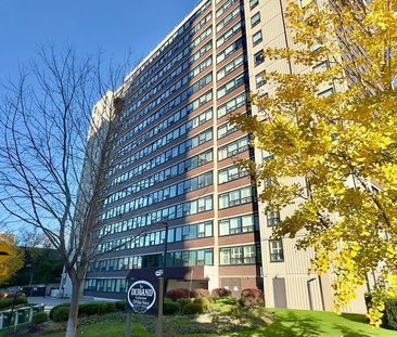 For Lease - 120 Duke Street Unit# 102, Hamilton, Ontario - Photo 2