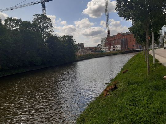 Dakappartement te huur in Deinze - Foto 1