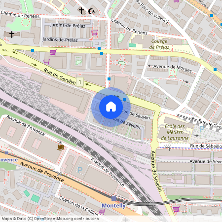 Avenue De Sévelin 13 f, 1004 Lausanne