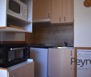 Location Appartement 1 pièce 18m² BOLQUERE 66210 - Photo 5
