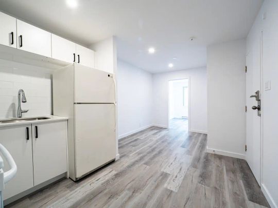 5576 St. Denis — 3-1/2 - Photo 1