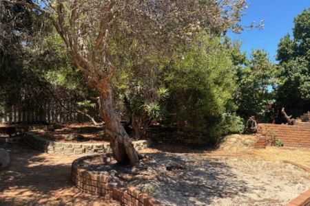 It's a Beauty. - Photo 5