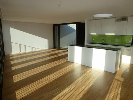 2.5-Zimmerwohnung in Windisch mieten - Photo 5