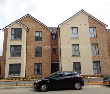 Price £1,195 pcm - Available 13/10/2026 - Furnished - Photo 6