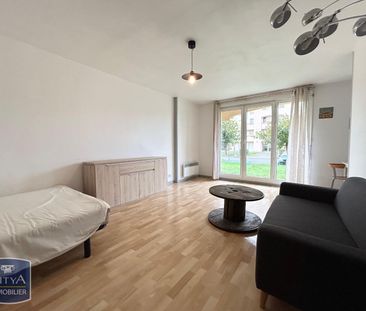 Location Appartement 1 pièce 35m² PAU 64000 - Photo 3