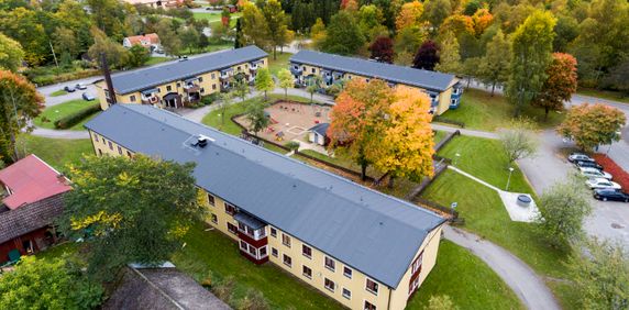 Pinuten - Foto 2