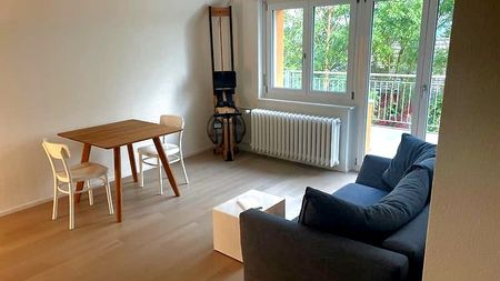 3 Zimmer-Wohnung in Zürich - Kreis 10 Wipkingen, möbliert, auf Zeit - Foto 3