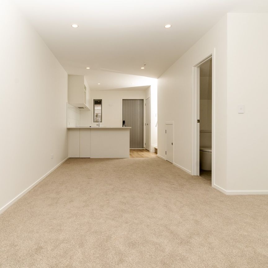 Brand new two bedroom + study with 3 heatpumps!!! - Photo 1