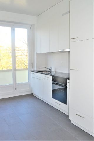 Bord de l'Arve - Foto 4