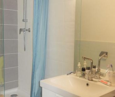 Location appartement 1 pièce - Photo 6