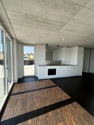 Neubau 3.5-Zimmer-Wohnung mit grosser Dachterrasse - Photo 1
