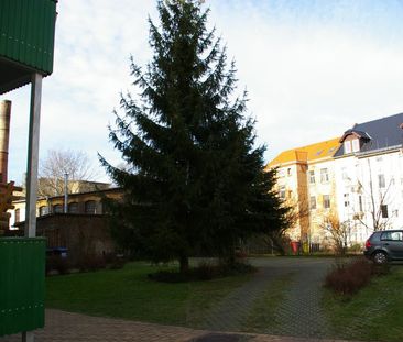 Sanierte 2-Zimmerwohnung in der Nähe vom Wildpark ! - Photo 6