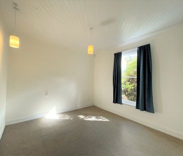 29 Hawthorn Avenue, Mornington, Dunedin - Photo 3