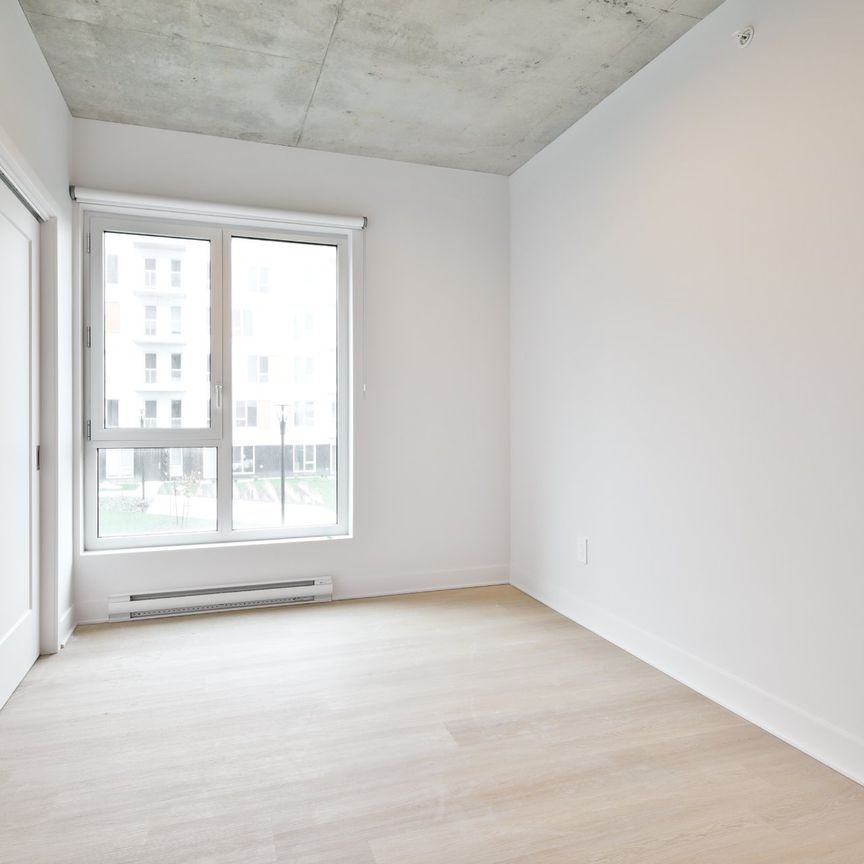 Condo for rent, Montréal (Villeray/Saint-Michel/Parc-Extension) - Photo 1