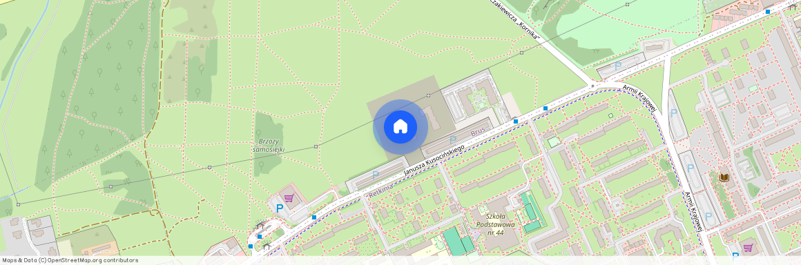 ul. Janusza Kusocińskiego, Brus, Polesie, Łódź, łódzkie