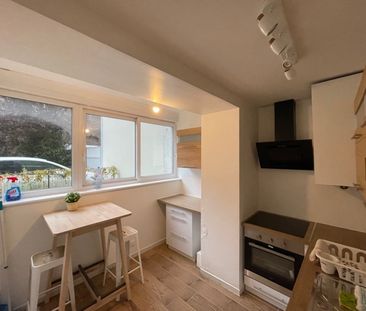 Location Appartement 1 pièce 25m² LILLE 59000 - Photo 2