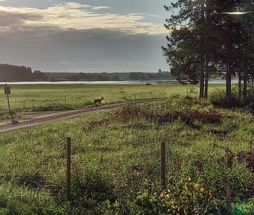 Strandvägen, Karlholmsbruk - Photo 5