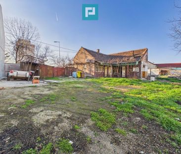 Teren de inchiriat pe 6 Vanatori - Fotografie 4