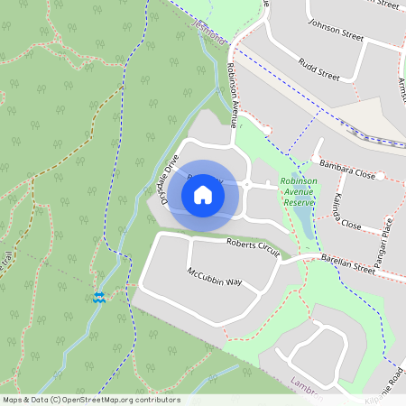 33 Drysdale Drive, NSW 2299, Lambton