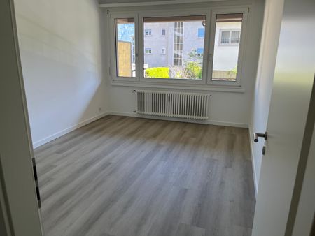 2.5 locali rinnovato con terrazzo - Photo 2