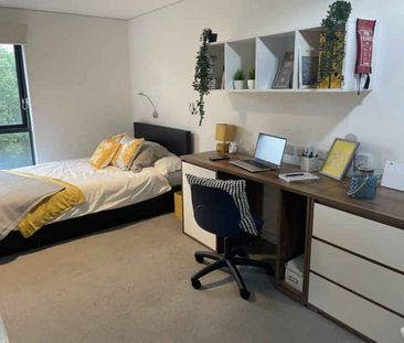 Premium Studio - Photo 5