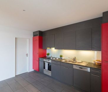 Urban living near the Rhine - Photo 3