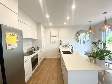 148 Mersey Street, St Albans, NZ 8014 - Photo 4