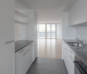 "Ihr neues zu Hause?" - Photo 4