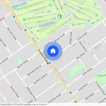 6a Unwin Street, NSW 2207, Bexley