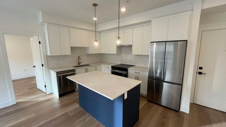 Brand New Spacious 2 Bedroom Condo - Photo 2