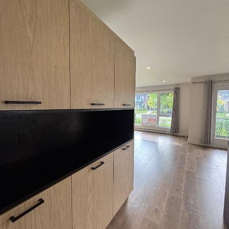 Appartement rez-de-chaussée lumineux à louer - Photo 3