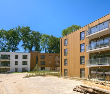 5100, Jambes - Foto 5