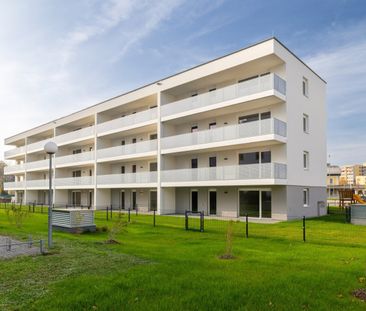 Erstbezug in Wieselburg – schöne 3 Zimmerwohnung mit großem Balkon ... - Photo 3