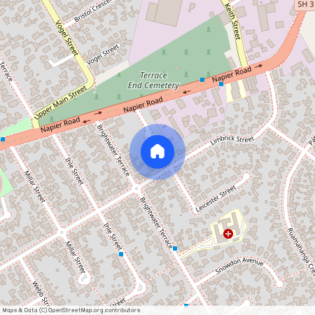 105a Limbrick Street, Terrace End, Palmerston North City