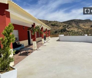 1 room luxury Apartment for rent in Casabermeja, Andalusia - Foto 5