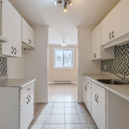 Appartement 4 ½ à louer Lévis juillet 2026 - Photo 3