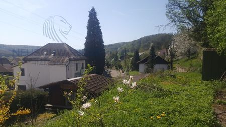 2.5 room apartment - 70 m2 with private garden 84 m2 - Foto 4