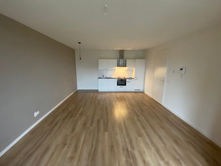 Haagbeuk 45 - Photo 5